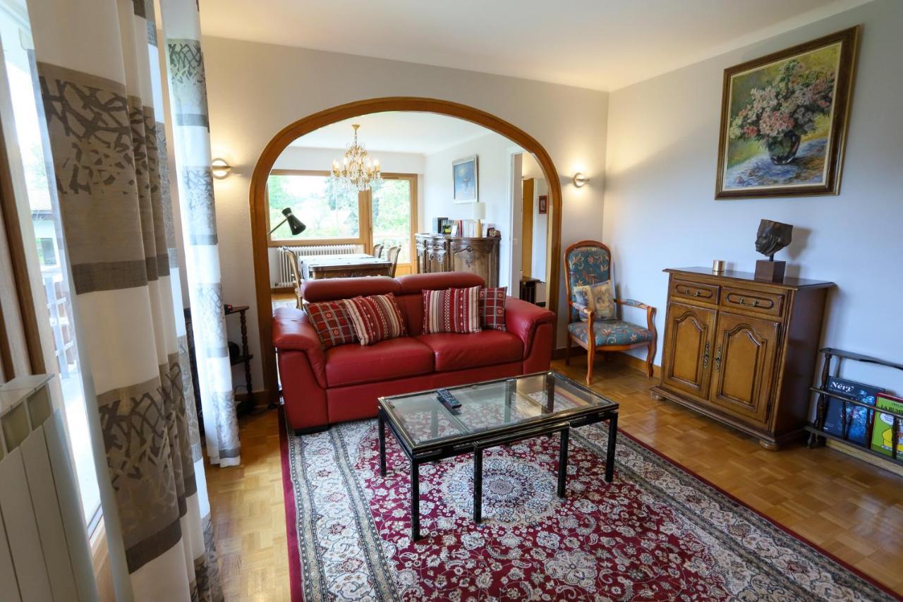 Le Vintage Grand Appartement 4 Etoiles Avec Jardin Proche Du Lac Annecy Dış mekan fotoğraf