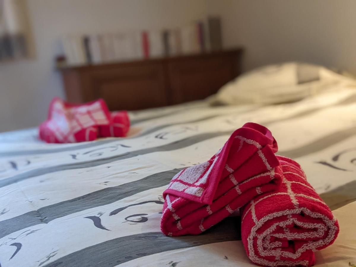 Le Vintage Grand Appartement 4 Etoiles Avec Jardin Proche Du Lac Annecy Dış mekan fotoğraf